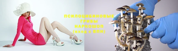 ешки Нефтекумск