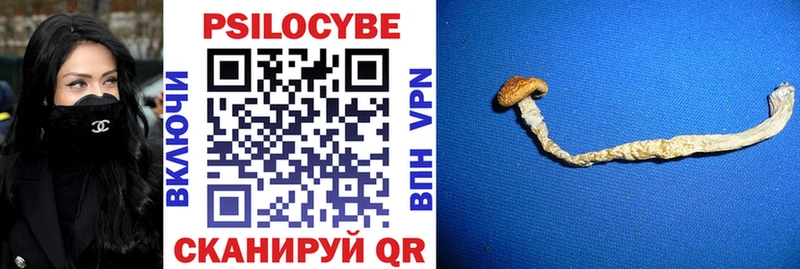 Купить где  Пионерский  Галлюциногенные грибы Magic Shrooms 