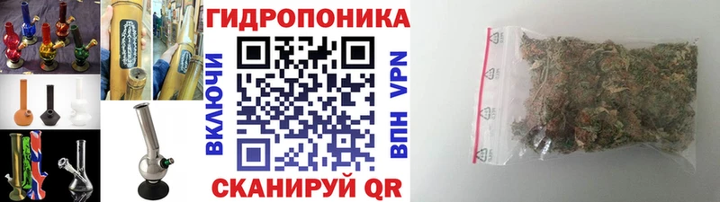 Марихуана конопля  Купить закладки  Пионерский 